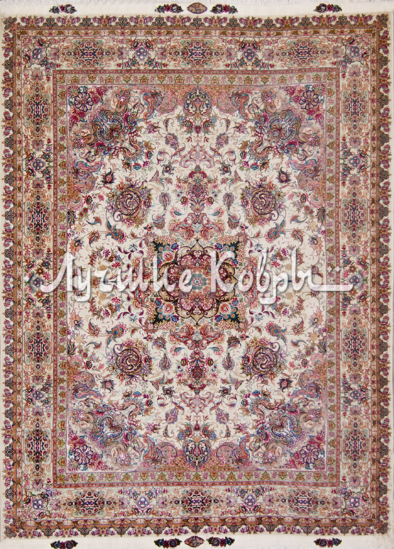 ����� ������ ������ ������ ��������