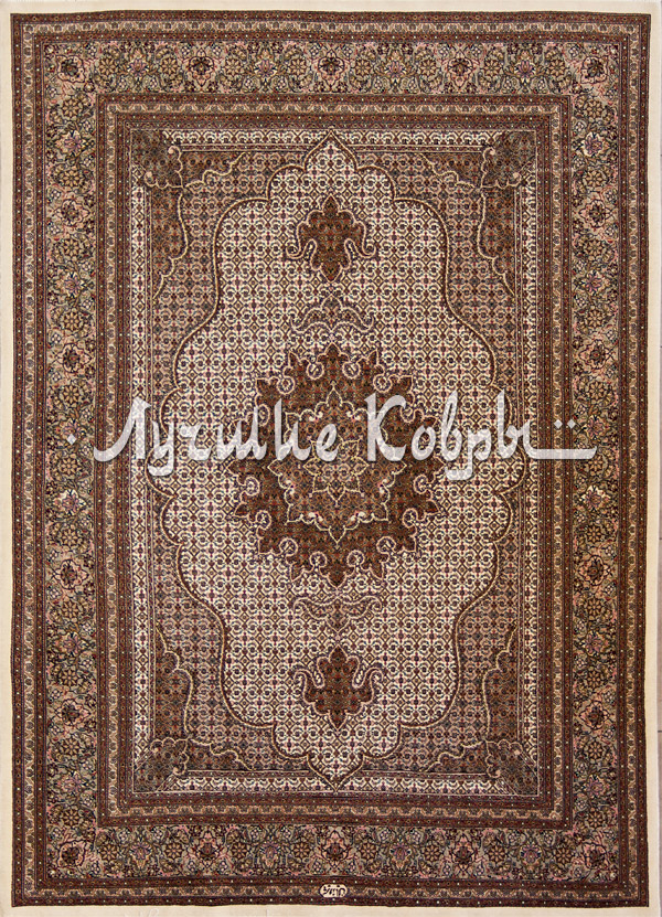 ����� ������ ������ ������ ����