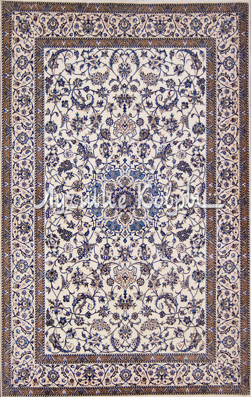 ����� ������ ������ ���� ��������