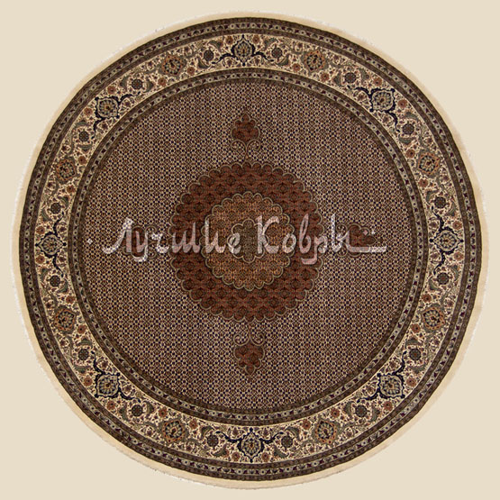 ����� ������ ������ ������ ����