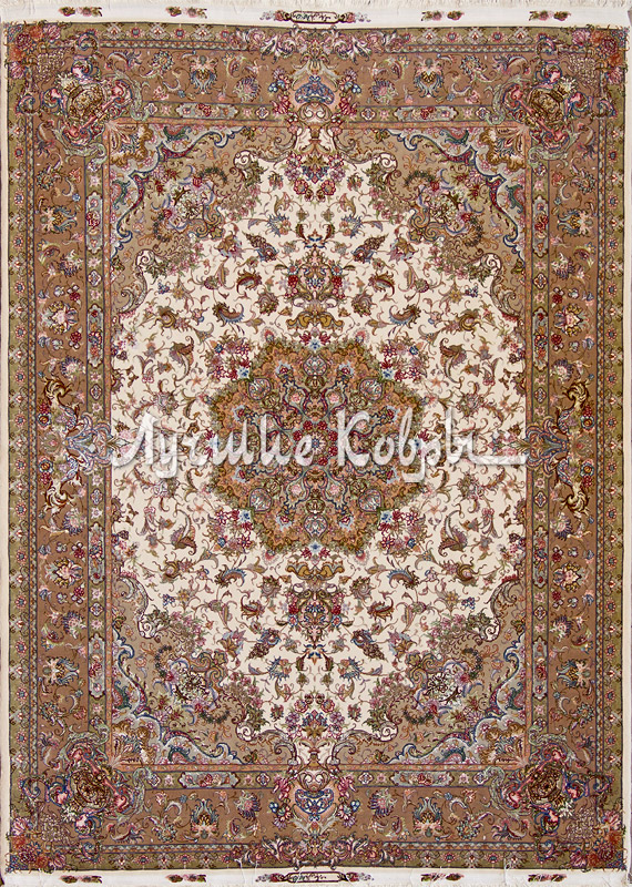 ����� ������ ������ ������ ��������