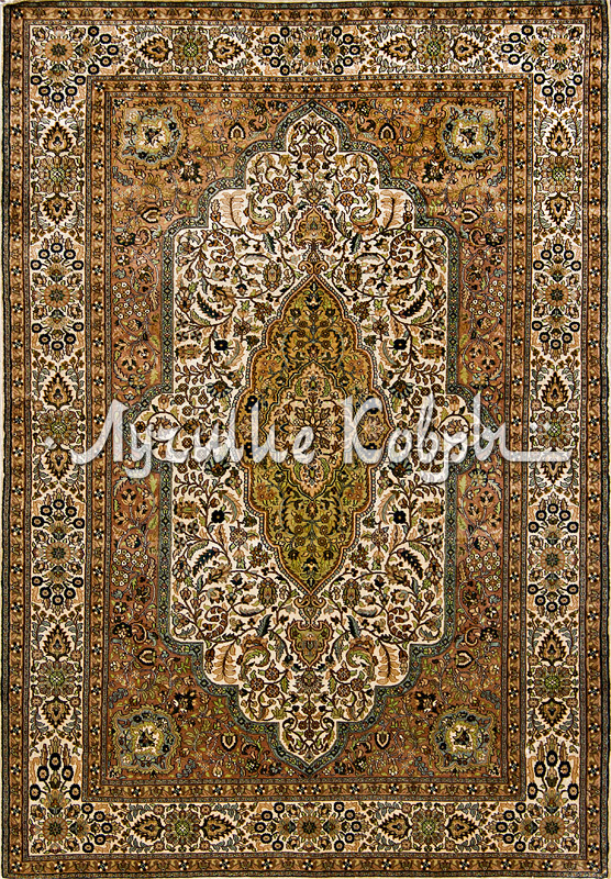 ����� ������ ������ ������