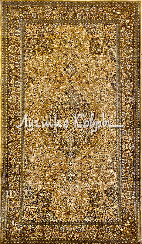 ����� ������ ������ ������