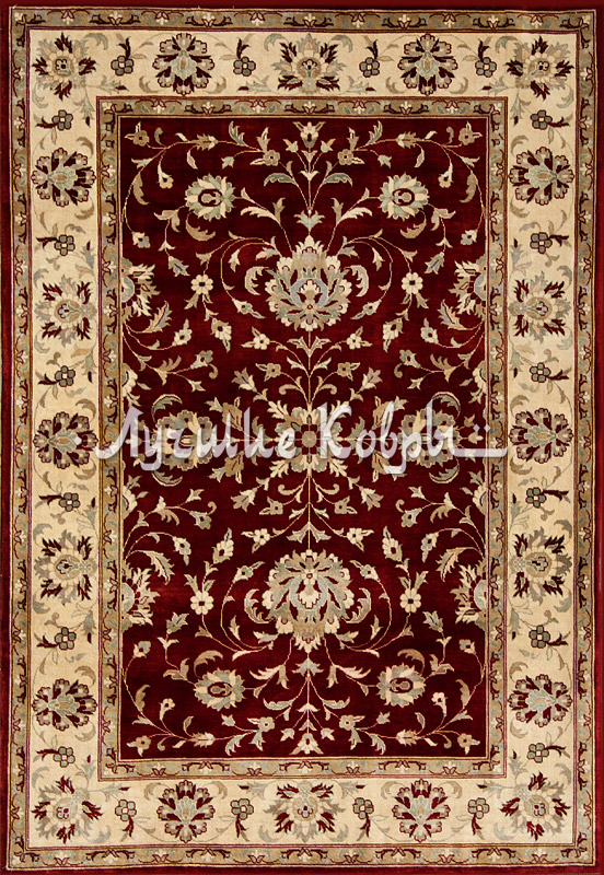 ����� ������ ������ ����