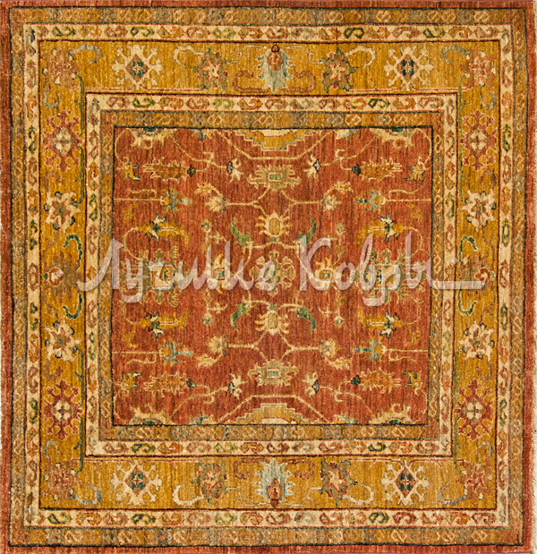 ����� ������ ������ ���� �������