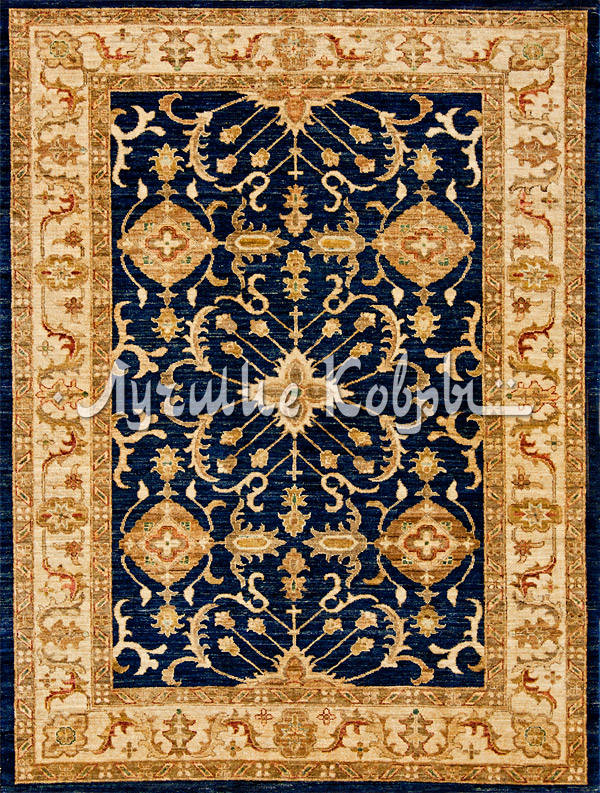 ����� ������ ������ ���� �������