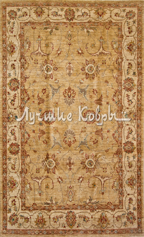 ����� ������ ������ ���� �����