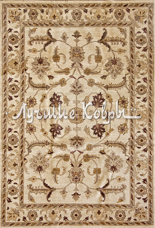 ����� ������ ������ ���� �����