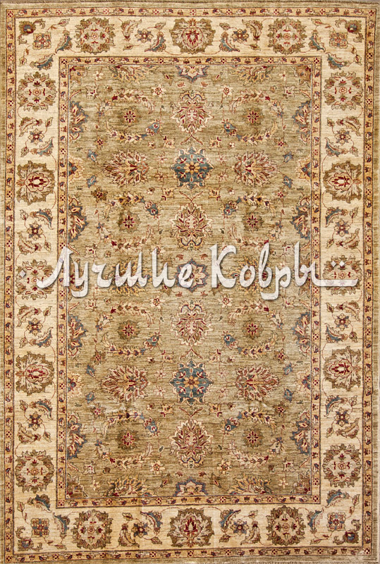 ����� ������ ������ ���� �������