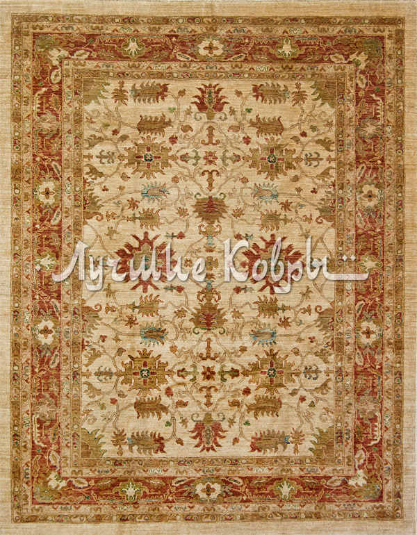 ����� ������ ������ ���� �������