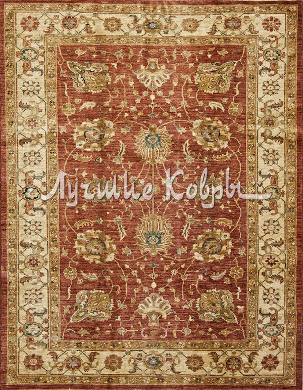 ����� ������ ������ ���� �������