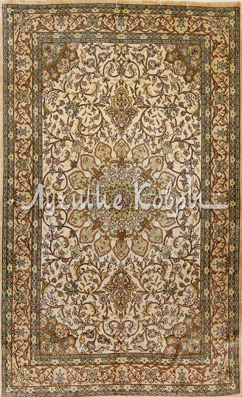 ����� ������ ������ ��������