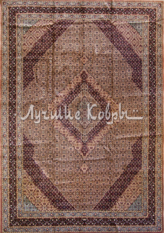 ����� ������ ������ ����