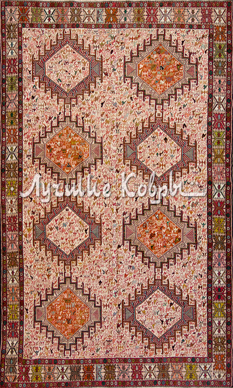 ����� ������ ������ ������