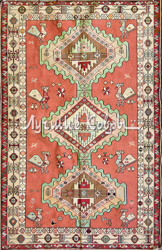 ����� ������ ������ ������